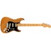 Fender 0113902763 American Professional II Stratocaster - Roasted Pine