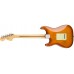 Fender American Performer Stratocaster®