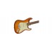 Fender American Performer Stratocaster®