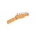 Fender Brad Paisley Esquire®