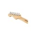 Fender 0144552531 Player Stratocaster Plus Top - Aged Cherry Burst