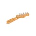 Fender 0147342350 Player Plus Nashville Telecaster - Butterscotch Blonde