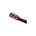 Fender Limited Edition CD-60, All Mahogany