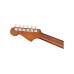 Fender Newporter Player