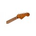 Fender Newporter Player