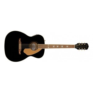 Fender Tim Armstrong Anniversary Hellcat