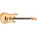 Fender American Acoustasonic® Stratocaster®