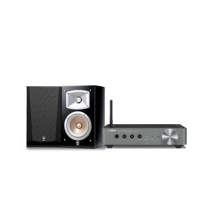 Combo - Yamaha WXA-50 D 2.1 AV Receiver - Silver with Yamaha NS-333 Speaker (Pair)