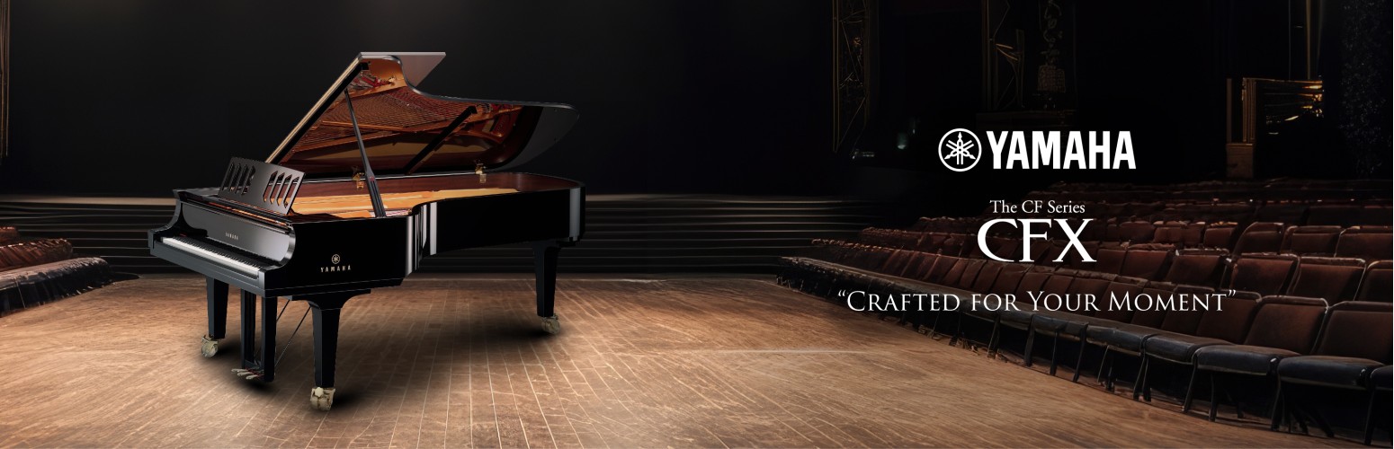    Musical Instruments