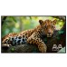 AVA DX5001TG 50-Inch 4K UHD Interactive Touch Digital Signage Display AVA DX5001TG 50-Inch 4K UHD Interactive Touch Digital Signage Display