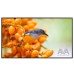 AVA DX9800 98-Inch 4K UHD Commercial Digital Signage Display AVA DX9800 98-Inch 4K UHD Commercial Digital Signage Display