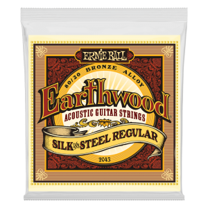 Ernie Ball Earthwood Silk 