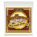 Ernie Ball Earthwood Silk 