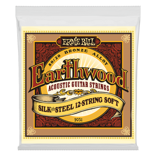 Ernie Ball Earthwood Silk 