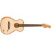 Fender 0972522121 Highway Series Parlor - Spruce