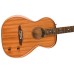 Fender 0972522122 Highway Series Parlor - Natural