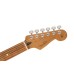 Fender 0144593506 Limited Edition Player Stratocaster Pau Ferro Fingerboard - Black