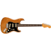 Fender 0113900763 American Professional II Stratocaster - Natural