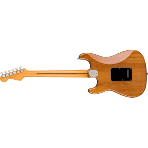 Fender 0113900763 American Professional II Stratocaster - Natural