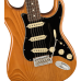 Fender 0113900763 American Professional II Stratocaster - Natural
