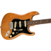 Fender 0113900763 American Professional II Stratocaster - Natural
