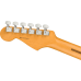 Fender 0113900763 American Professional II Stratocaster - Natural