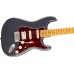 Fender 0114952322 American Professional Classic Stratocaster HSS, Maple Fingerboard - Faded Black
