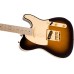 Fender 0255202532 Richie Kotzen Telecaster, Maple Fingerboard - Brown Sunburst