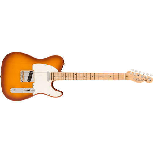 Fender 0171042742 Limited Edition American Performer Timber Telecaster - Honey Burst