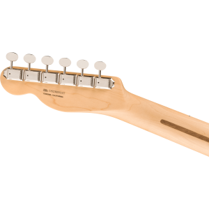 Fender 0171042742 Limited Edition American Performer Timber Telecaster - Honey Burst