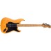 Fender 0173901734 Limited Edition American Professional II Stratocaster HSS HT - Aged Natural