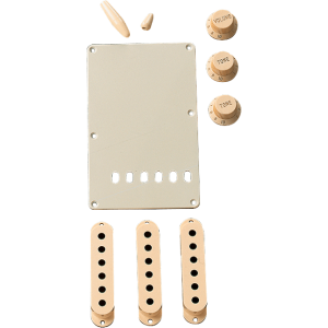 Fender 0991368000 Stratocaster Accessory Kits
