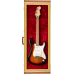 Fender 0995000300 Guitar Display Cases