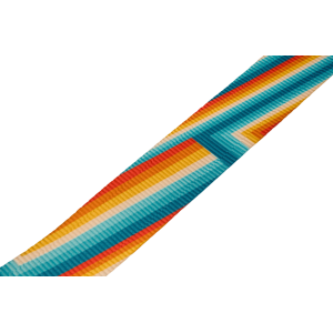 Fender 0990637212 Retro Rainbow Strap