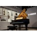 Bosendorfer Camellia Grand Piano - Polished Ebony