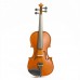Stentor - 1018E Violin Outfit 1/2