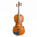 Stentor 1018A - Violin Outfit 4/4 