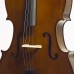 Stentor 1108A Student II Cello Outfit 4/4