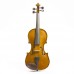 Stentor 1400F2 Violin Outfit Student 1 1/4 