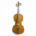 Stentor 1400A Student Violin Standard 4/4 