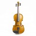 Stentor 1500A Student II Violin Outfit 4/4