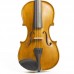 Stentor 1500A Student II Violin Outfit 4/4