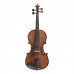 Stentor 1542A Graduate Violin Outfit 4/4 size