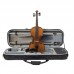 Stentor 1542C Graduate Violin Outfit 3/4 Size