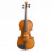 Stentor 1560A Conservatoire II Violin Outfit