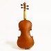 Stentor 1560A Conservatoire II Violin Outfit