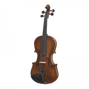 Stentor 1864A Verona Violin Outfit 