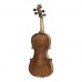 Stentor 1864A Verona Violin Outfit 