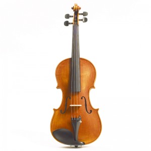 Stentor 1865A Messina Violin