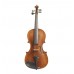 Stentor 1880A Arcadia Violin